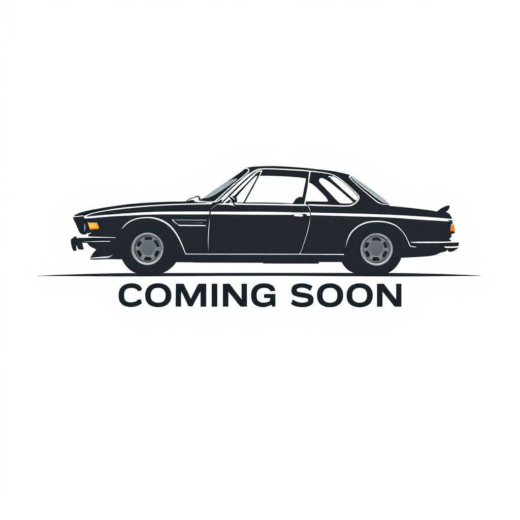 BMW E9 2.5CS-3.0CSL Stainless Steel Kidney Grille