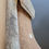 Thumbnail: Genuine BMW 2002 Backrest Horse Hair Seat Pad (Basic Seats) 1971-1973