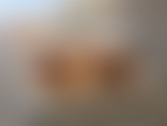 DonutFest: A History