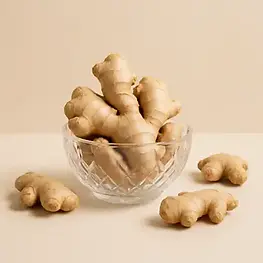 Ginger.webp