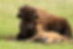 AdobeStock_142275513.jpeg