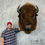 Thumbnail: Bison Taxidermy Shoulder Mount