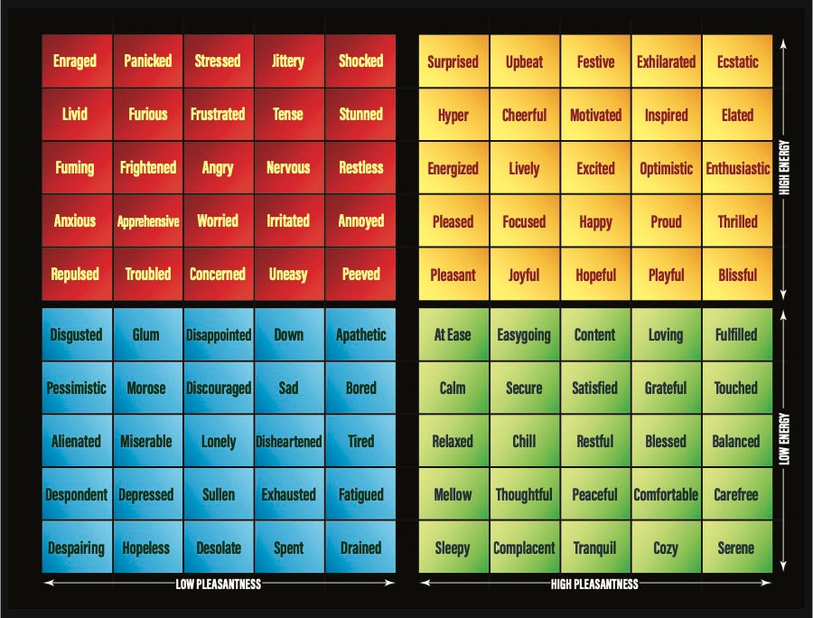 executive function strategies for adults