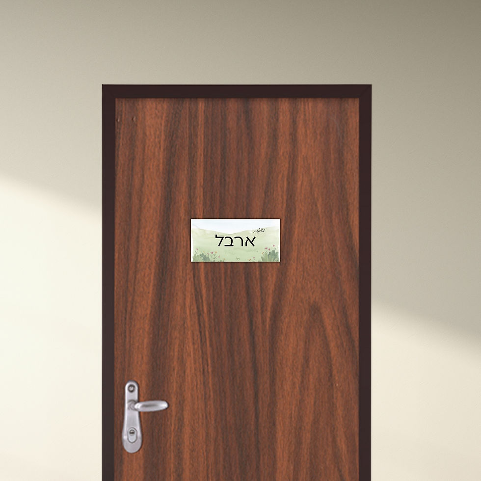 שלט מגנטי לדלת