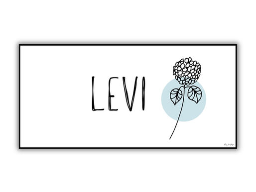 שלט מגנטי לדלת