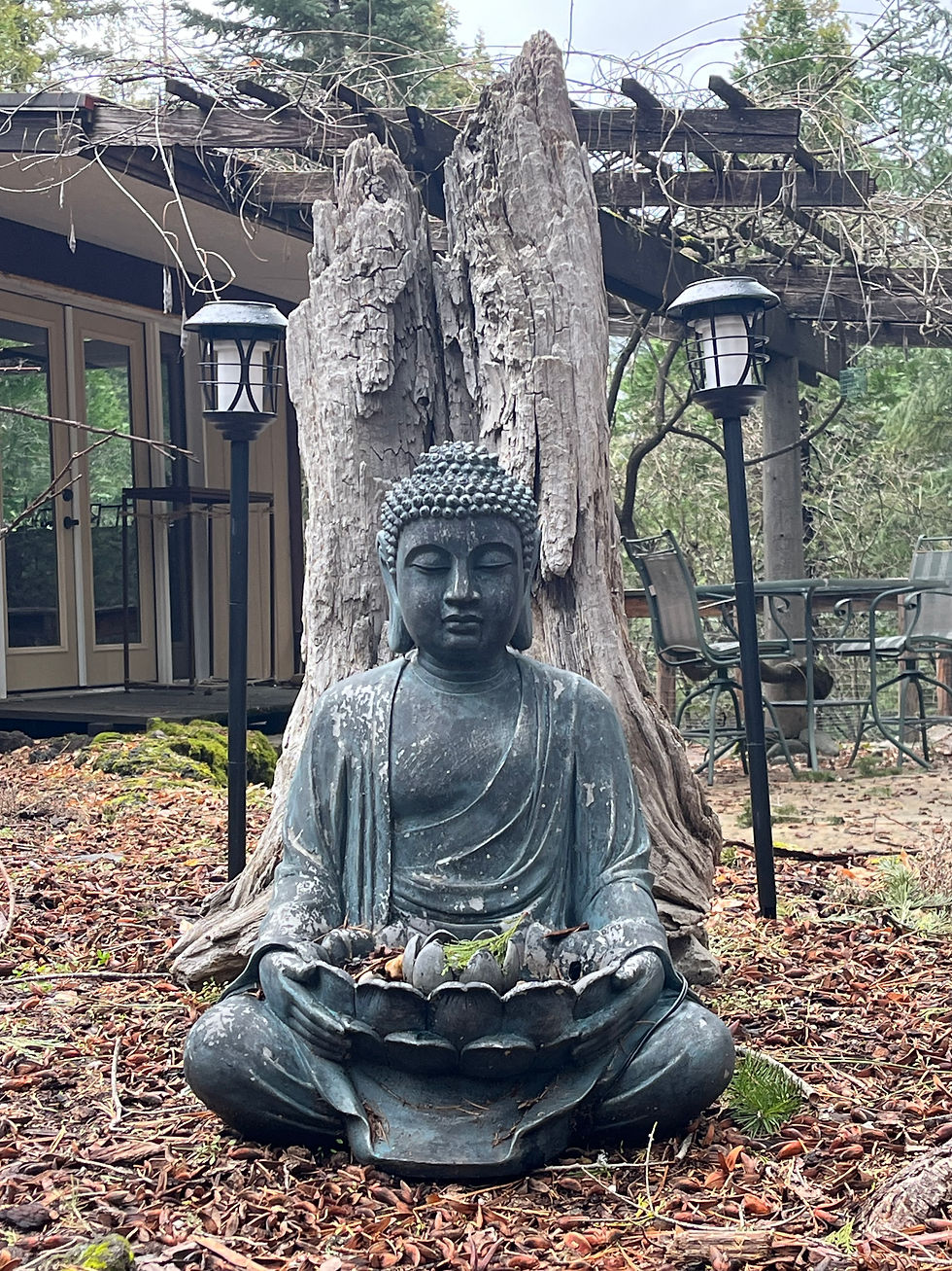 The front Garden at the Wisdom of The Heart Centre ~ my Home close to Mount Shasta for 5 and a half weeks