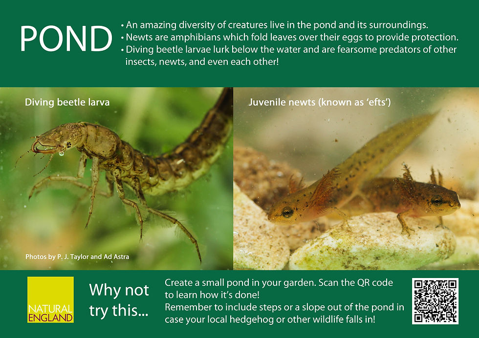 Pond Life Sign 2015