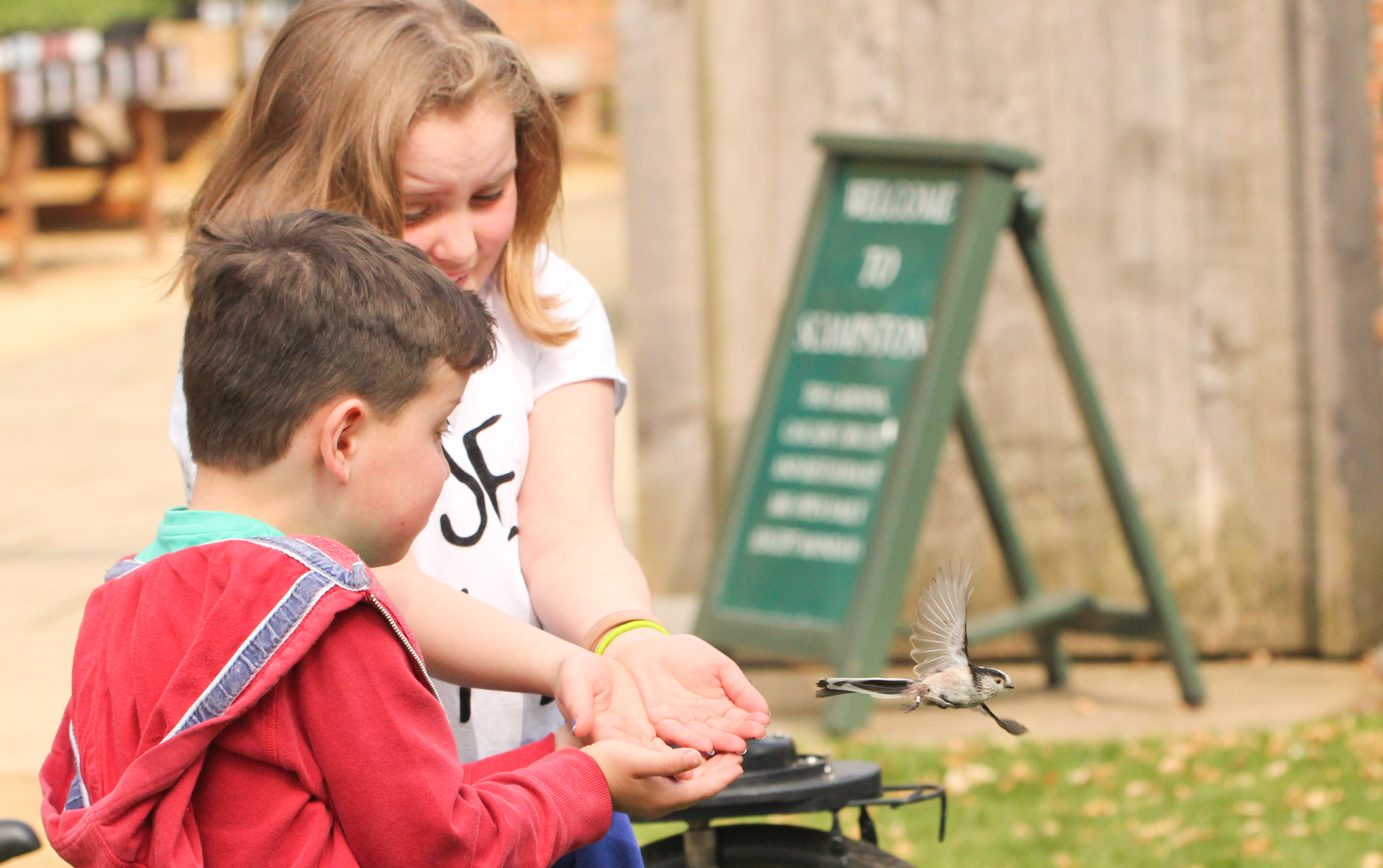 Scampston Wildlife Open Day 2018