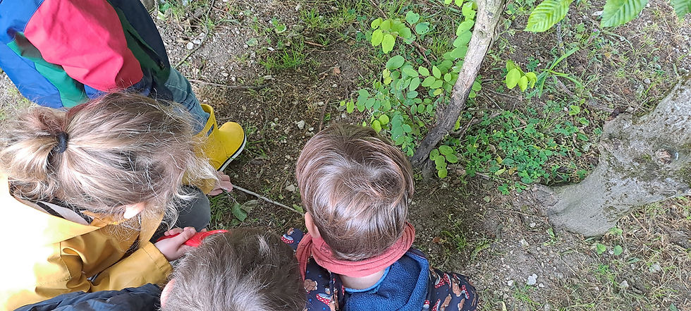 L'école hors les murs : les bienfaits de la classe dehors