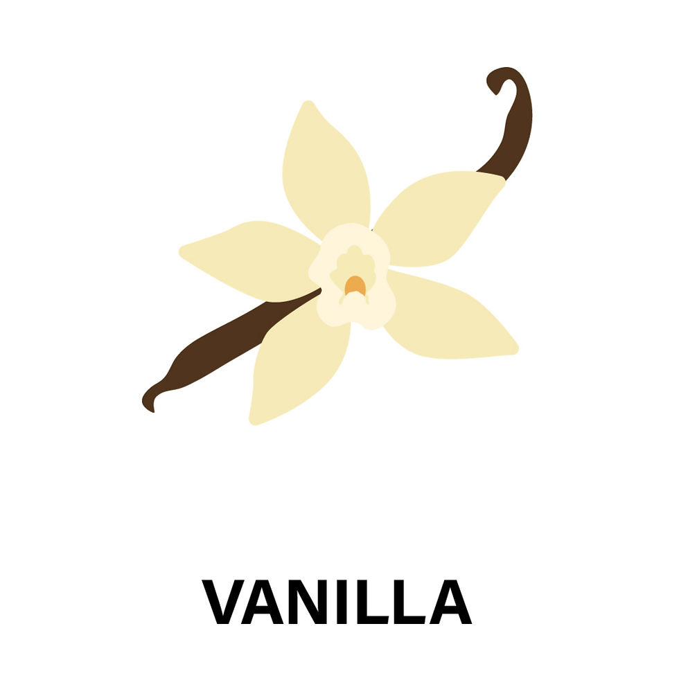 Matcha Flavour Icon