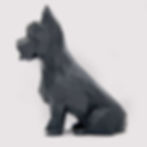 Miniatura: Perro Yorkshire