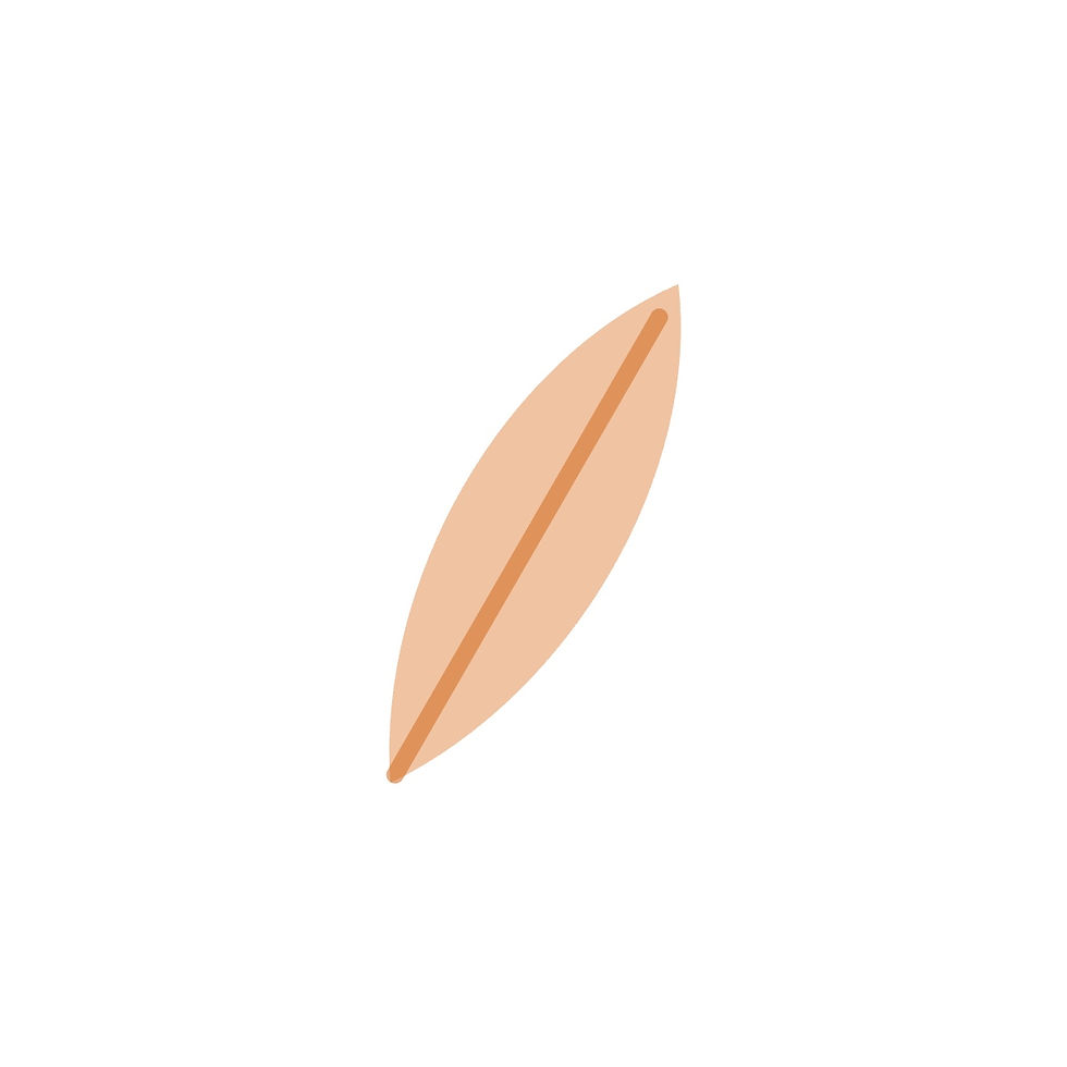 feather-tilted.jpg