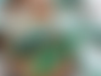 House Plants: My Five Favorites