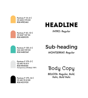 Typography & Colours