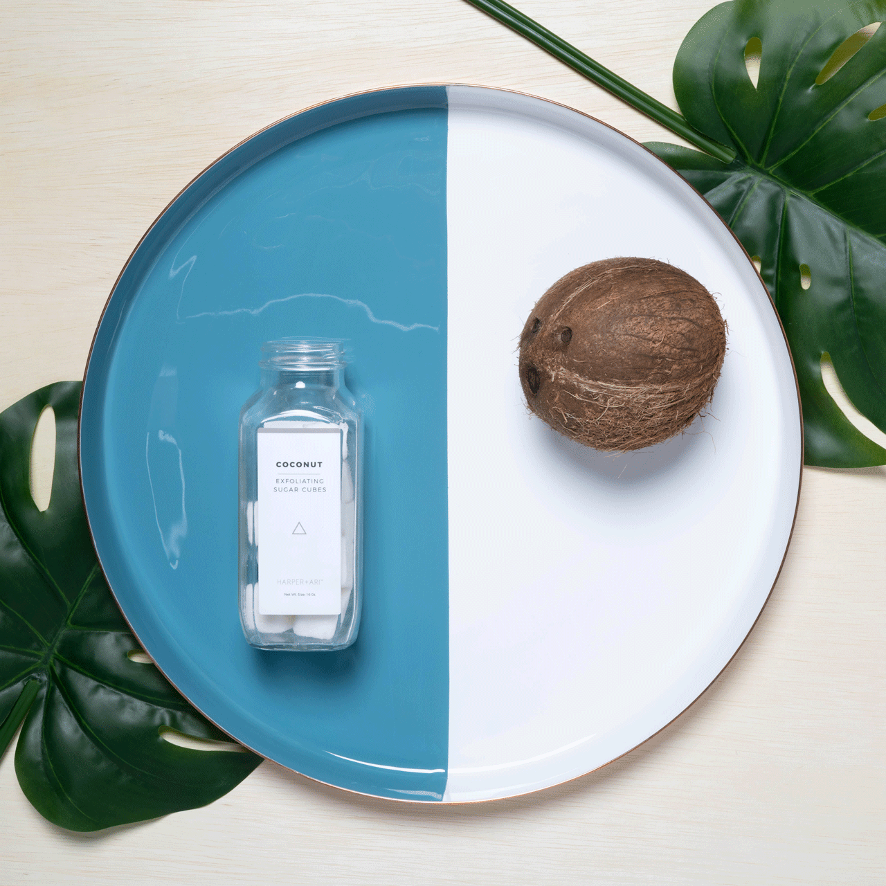 Gif of coconut photographed by Daniel Roa