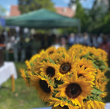 Sonnenblumen klein.jpg