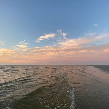 IMG_4594.JPG
