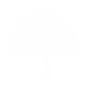 deciduous-tree-graphic