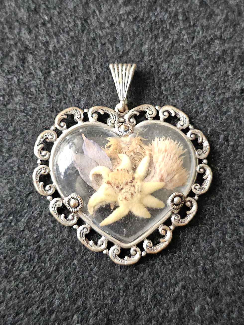 Vintage German Pendant with Real Edelweiss Flower.