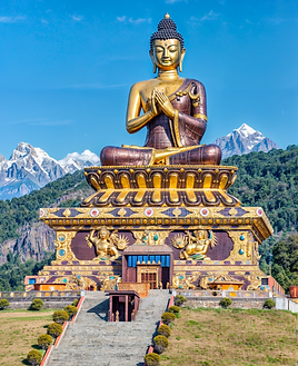 premium_photo-1697730412085-6f10bddf58c7 (1)-enhanced.png