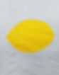20250405_095737.jpg