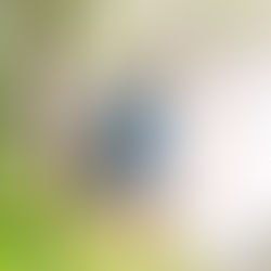 子どもの成長とともに見えてくる、家族と住まいのこれから