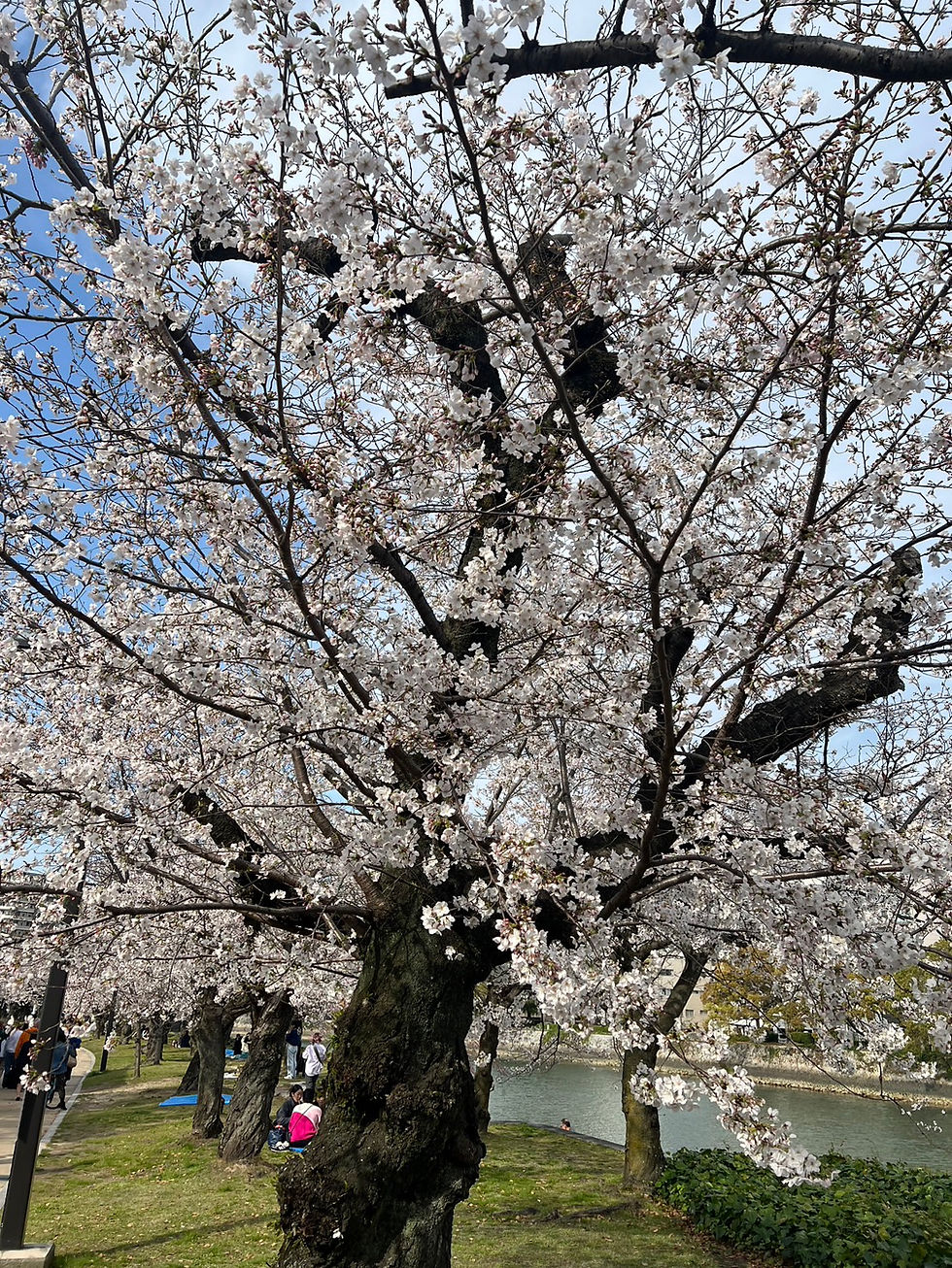 旭川 不動産 査定