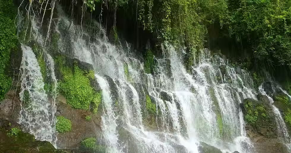 Waterfall wall on rock background with moss and plants all around