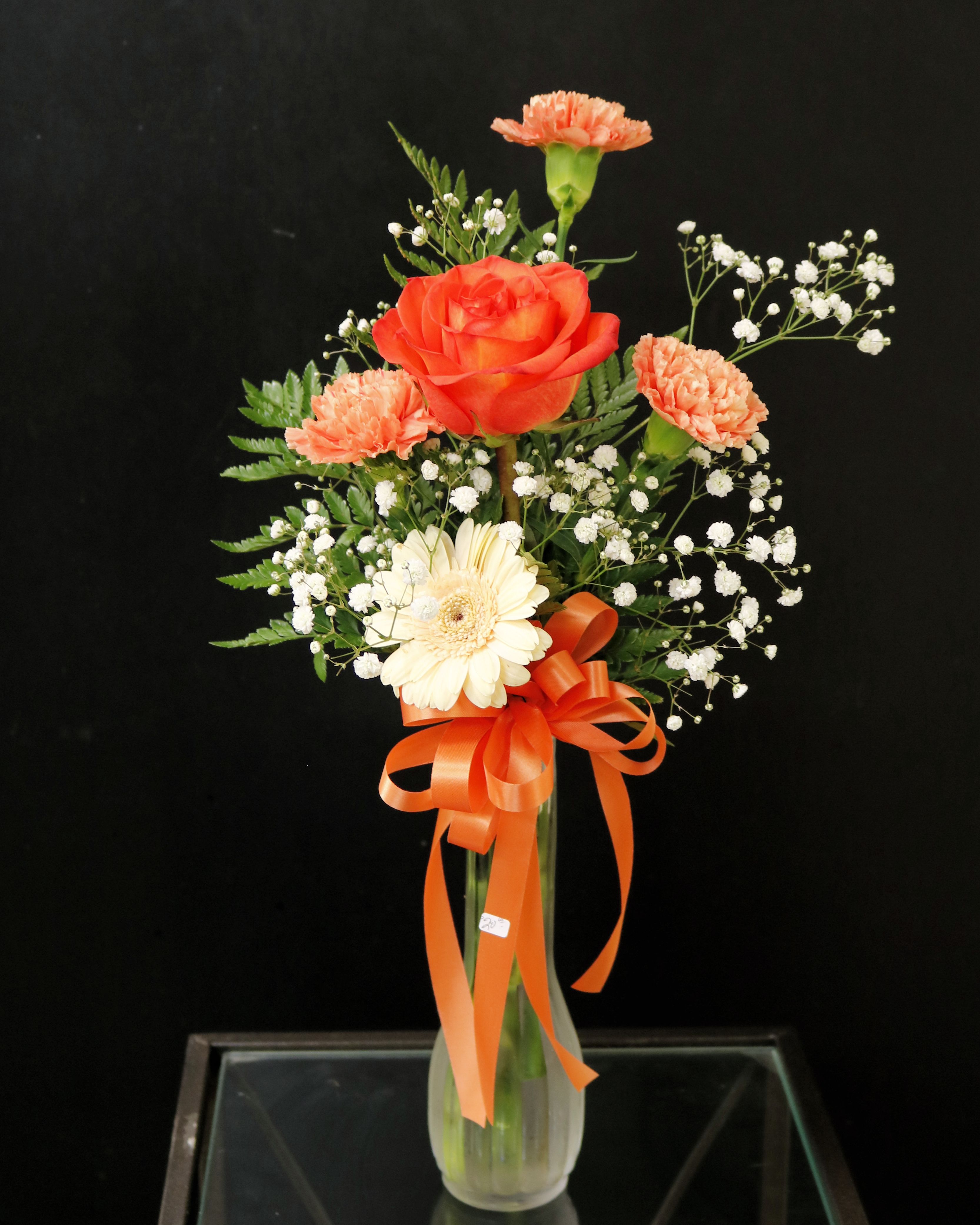Single Rose and Carnations