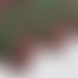 Что купить? Ондулин или Керамопласт