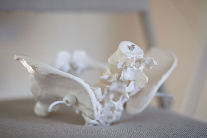 pelvis demonstration in antenatal classes warwick