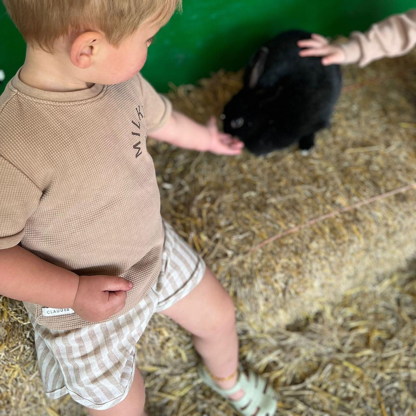 Toddler Neutral Light Linen Shorts in a Neutral Striped design