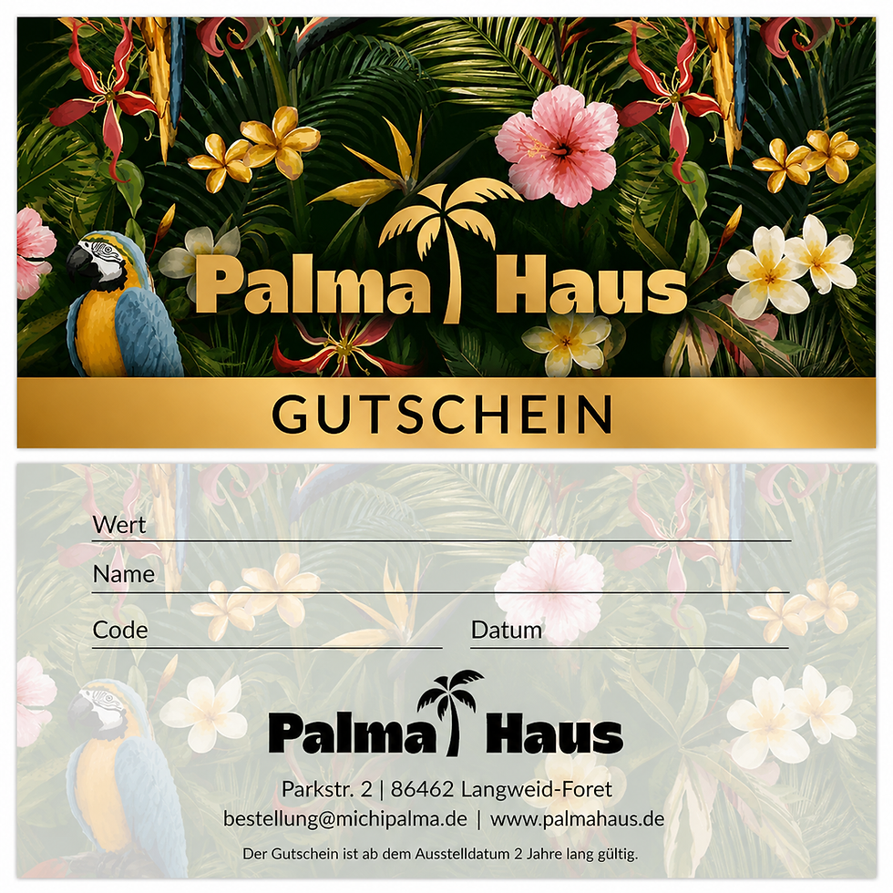 Miniaturbild: 250€ Geschenkkarte mit Geschenkbox