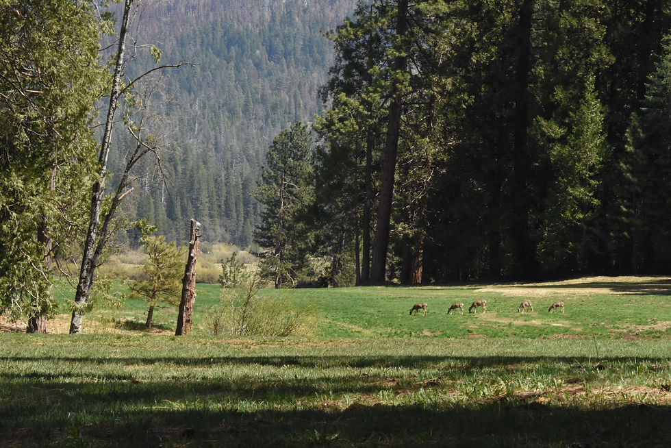 DSC_2778.JPG
