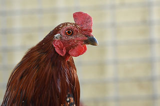 DSC_2389_edited.jpg