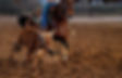 AdobeStock_293951841.jpeg