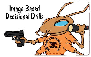 ibdd card combatant.jpg