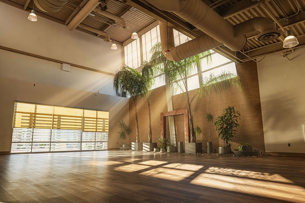 Wide-angle view of a welcoming fitness studio with mats arranged for a beginner class.