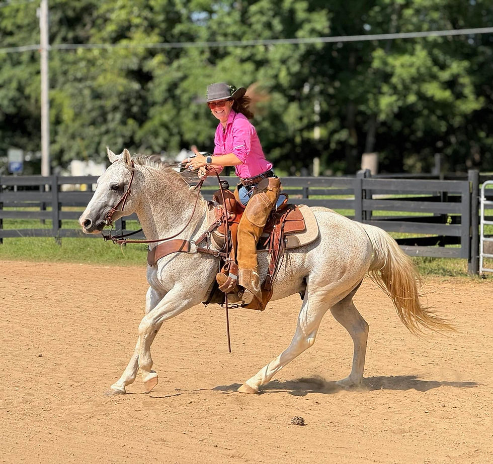 Gunshy loping.jpg