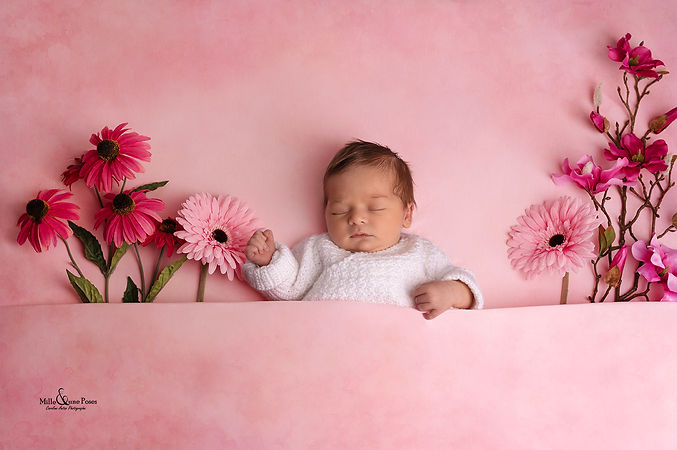 shooting naissance Mille et une Poses photographe Reims Marne
