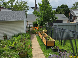 Discovering the Generosity of Nature in My Backyard