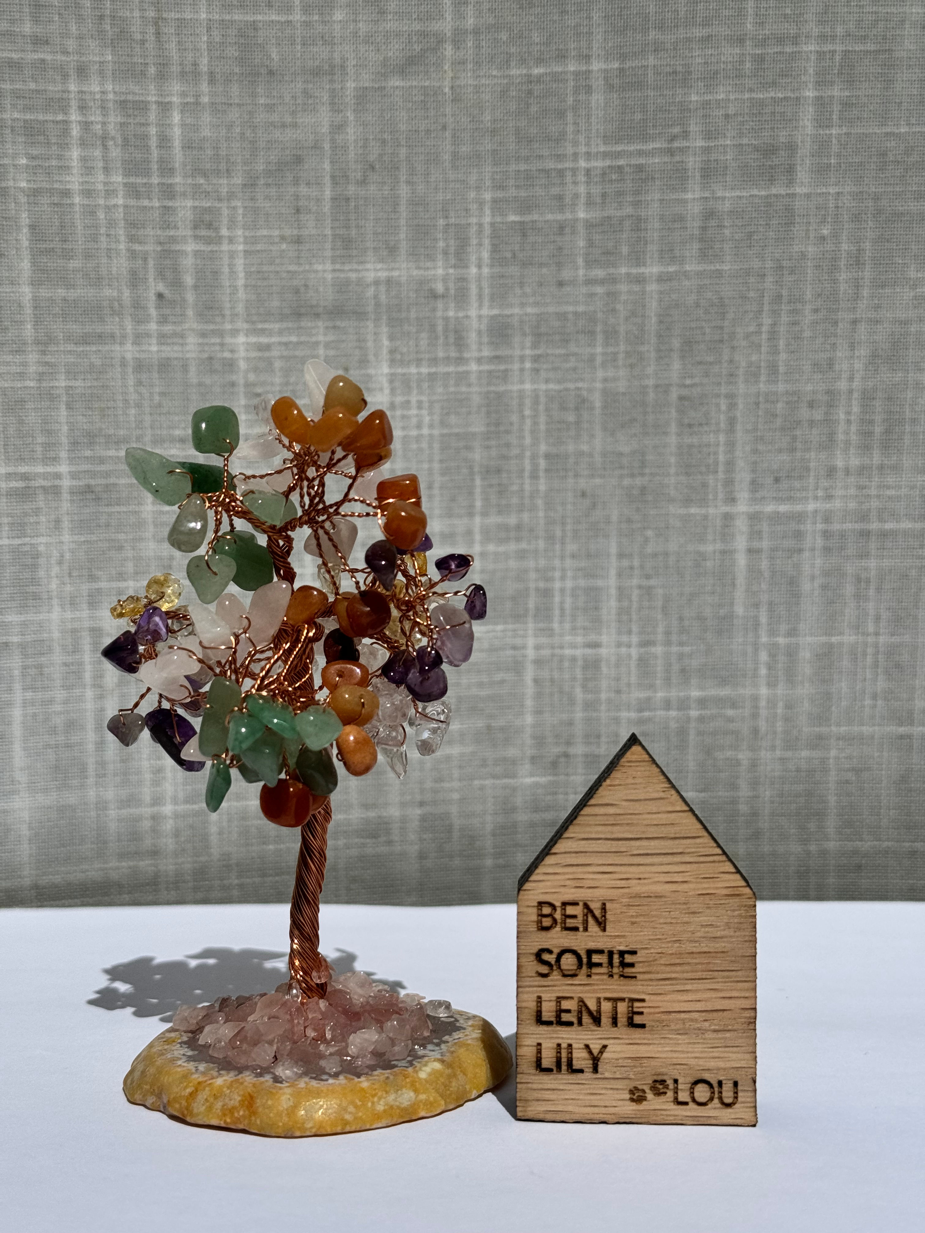 Mini home/house