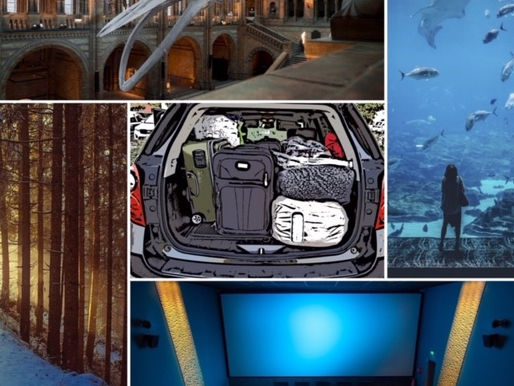 Fun Budget-Friendly Ideas for Kids this Spring Break