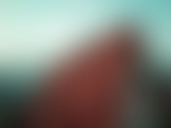 What Kind of Insurance Coverage Do I need for my Roof? 