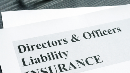Why Your Board Needs Directors & Officers (D&O) Liability Insurance