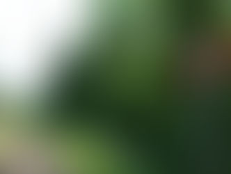 Les Frêtes c'est par ici