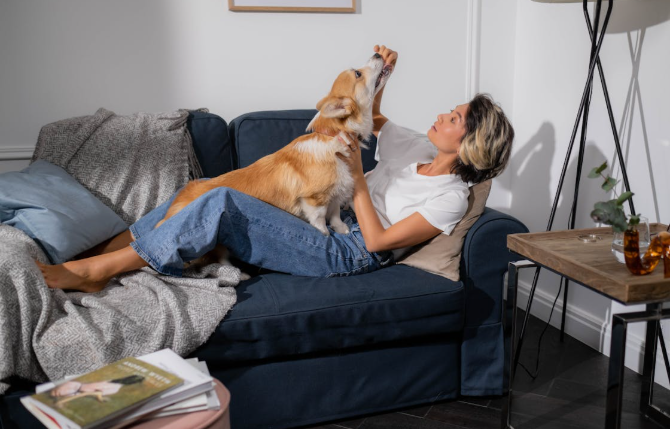 Pet-Proof Painting: Tips for a Fur-Friendly Home