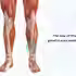 Effective Treatment For Shin Splints (Periostitis) in Birmingham & Warwickshire