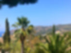 96B9C4FE-AEB3-40B5-89F1-5B40300A5A13_edited.jpg