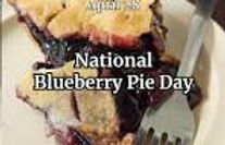 bluebrry pie.jpeg